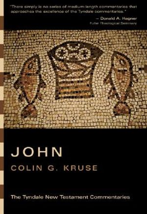 The Gospel According to John: An Introduction and Commentary image number 0