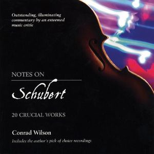 Notes on Schubert: 20 Crucial Works image number 0