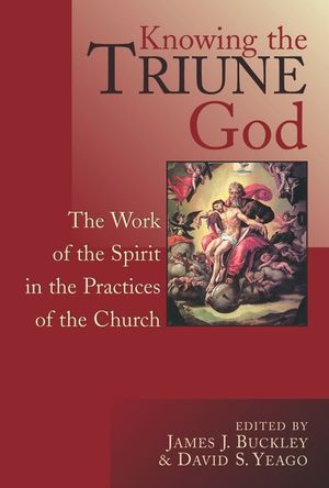 Knowing the Triune God: The Work of the Spirit in the Practices of the Church image number 0