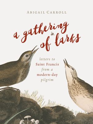 A Gathering of Larks: Letters to Saint Francis from a Modern-Day Pilgrim image number 0