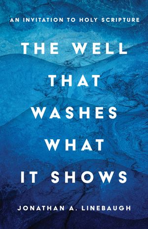 The Well That Washes What It Shows: An Invitation to Holy Scripture image number 0