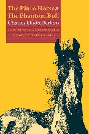 The Pinto Horse and the Phantom Bull image number 0