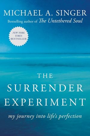 The Surrender Experiment: My Journey Into Life's Perfection image number 0