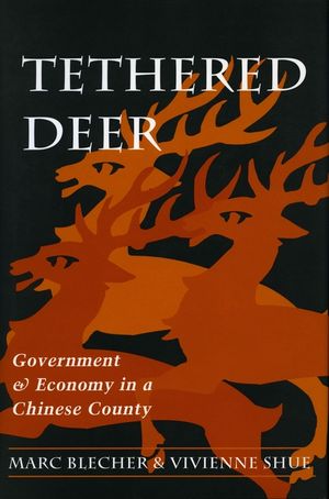 Tethered Deer: Government and Economy in a Chinese County image number 0