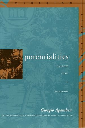 Potentialities: Collected Essays image number 0