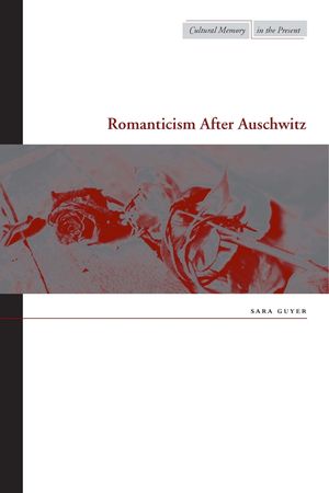 Romanticism After Auschwitz image number 0