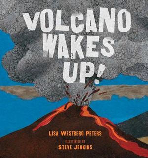 Volcano Wakes Up! image number 0