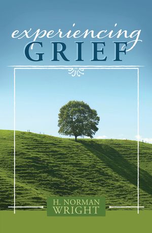 Experiencing Grief image number 0