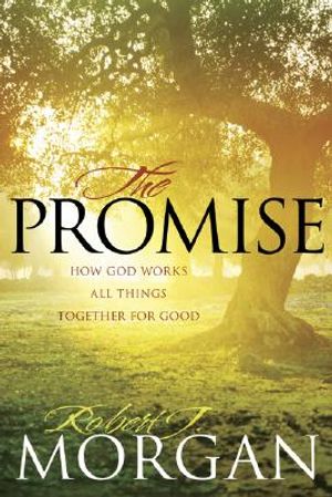The Promise: How God Works All Things Together for Good image number 0