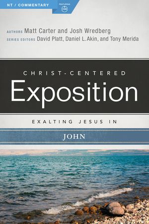 Exalting Jesus in John image number 0