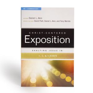 Exalting Jesus in 1,2,3 John image number 0