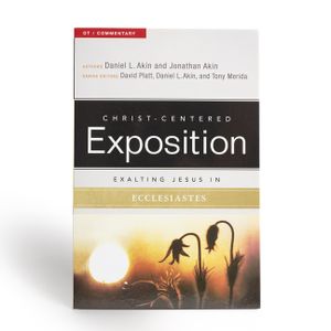Exalting Jesus in Ecclesiastes image number 0