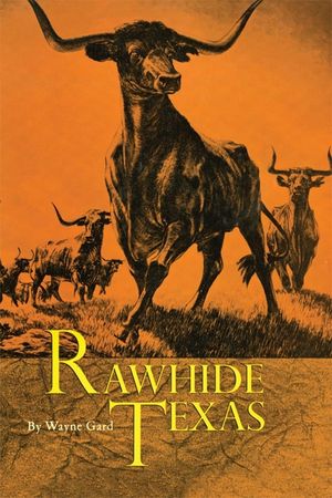 Rawhide Texas image number 0