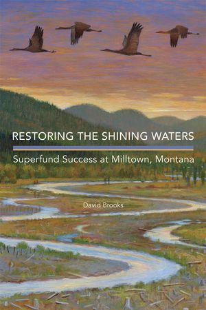 Restoring the Shining Waters: Superfund Success at Milltown, Montana image number 0