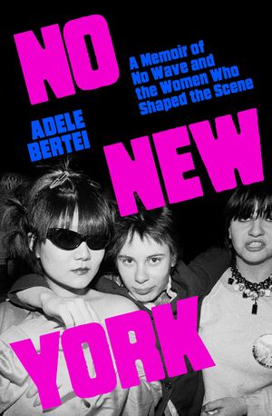 No New York: A Memoir of No Wave and the Women Who Shaped the Scene image number 0
