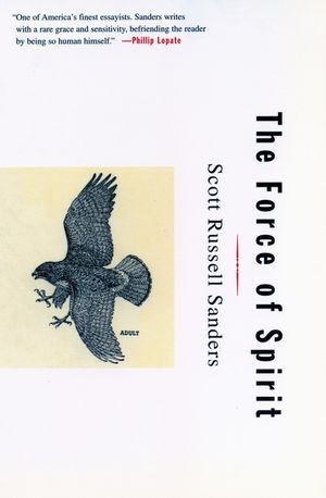 The Force of Spirit image number 0