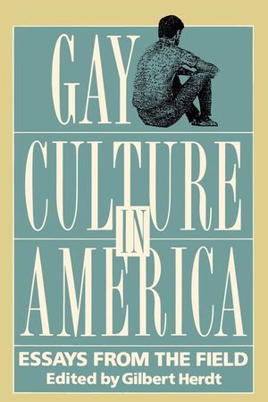 Gay Culture in America: Essays from the Field image number 0