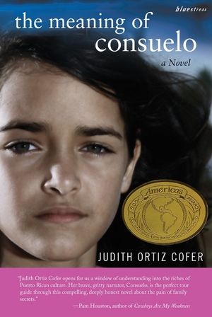 The Meaning of Consuelo image number 0