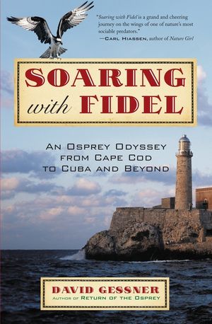 Soaring with Fidel: An Osprey Odyssey from Cape Cod to Cuba and Beyond image number 0