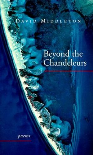 Beyond the Chandeleurs: Poems image number 0
