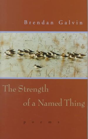 The Strength of a Named Thing: Poems image number 0