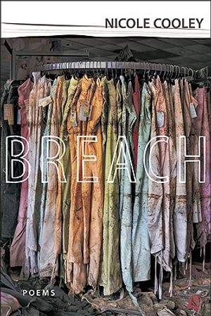 Breach image number 0