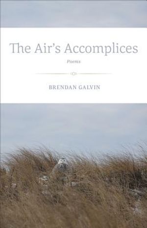 The Air's Accomplices: Poems image number 0