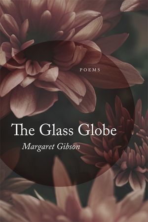 Glass Globe: Poems image number 0