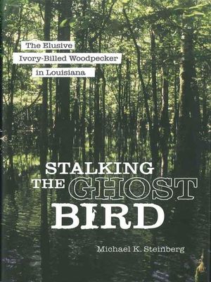 Stalking the Ghost Bird: The Elusive Ivory-Billed Woodpecker in Louisiana image number 0