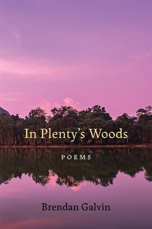 In Plenty's Woods: Poems image number 0