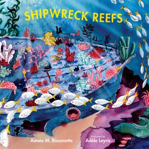 Shipwreck Reefs image number 0