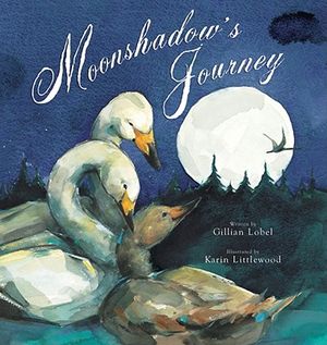 Moonshadow's Journey image number 0