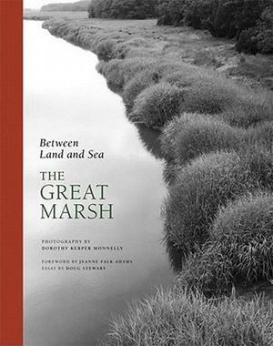 Between Land and Sea: The Great Marsh image number 0