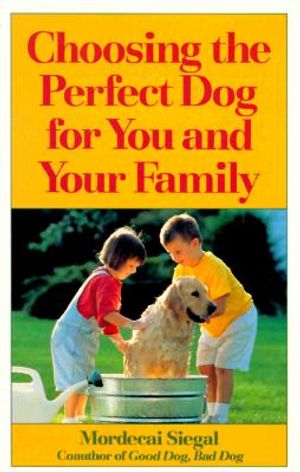 Choosing the Perfect Dog for You and Your Family image number 0