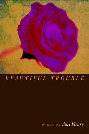Beautiful Trouble image number 0