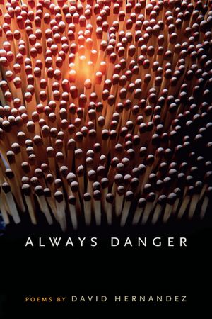 Always Danger image number 0