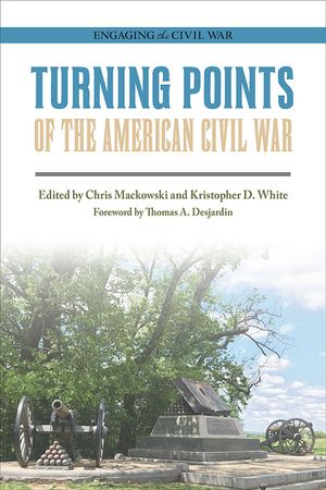Turning Points of the American Civil War image number 0