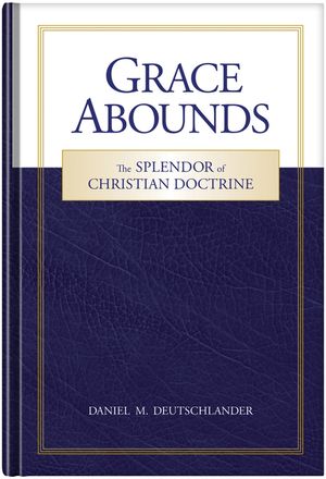 Grace Abounds: The Splendor of Christian Doctrine image number 0