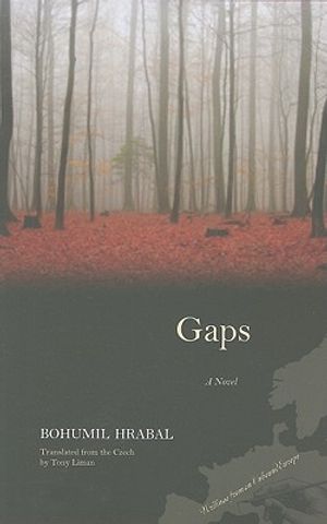 Gaps image number 0
