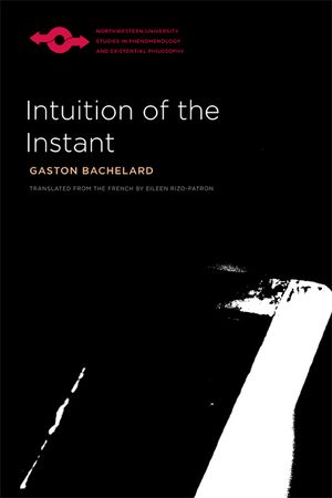 Intuition of the Instant image number 0