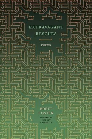 Extravagant Rescues: Poems image number 0