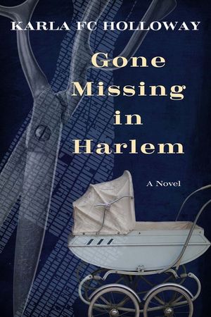 Gone Missing in Harlem image number 0