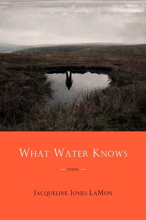 What Water Knows: Poems image number 0