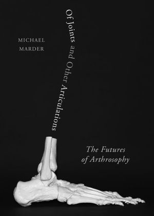 Of Joints and Other Articulations: The Futures of Arthrosophy image number 0