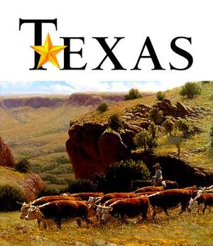 Art of the State Texas image number 0
