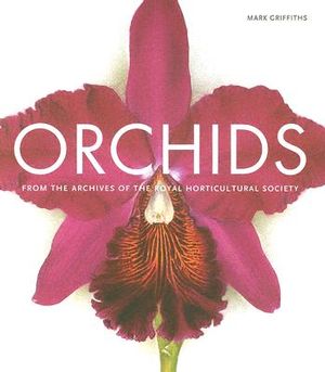 Orchids image number 0