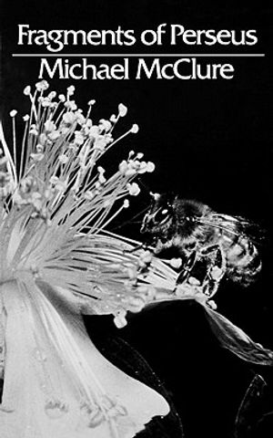 Fragments of Perseus: Poetry image number 0