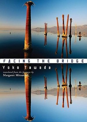 Facing the Bridge image number 0