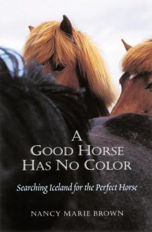 A Good Horse Has No Color image number 0