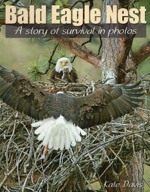 Bald Eagle Nest: A Story of Survival in Photos image number 0